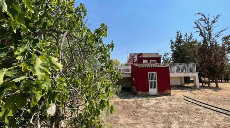 Murcia - Fuente Álamo de Murcia - 20000m2