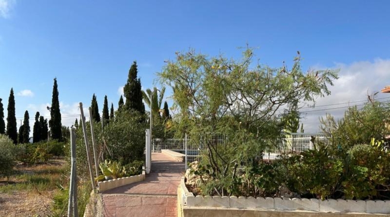 Alicante - Novelda - 6330m2