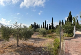 Novelda 6330&nbsp;m²