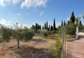 Chalet independiente con terreno en venta en la España, Novelda, ref: TR382982 foto