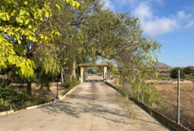 Novelda 6330&nbsp;m²