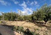 Chalet independiente con terreno en venta en la España, Novelda, ref: TR382982 foto