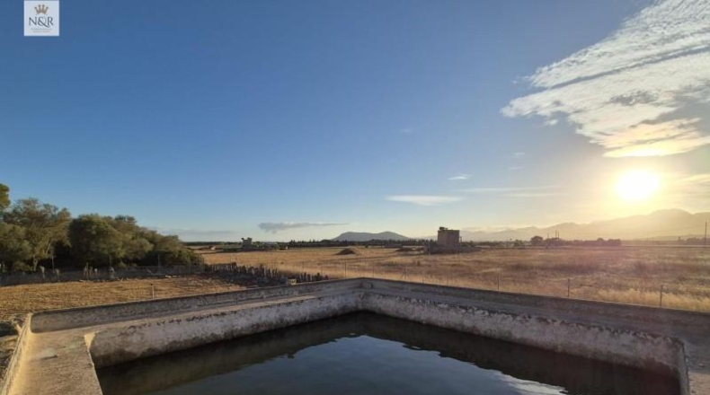 Islas Baleares - Muro - 18400m2