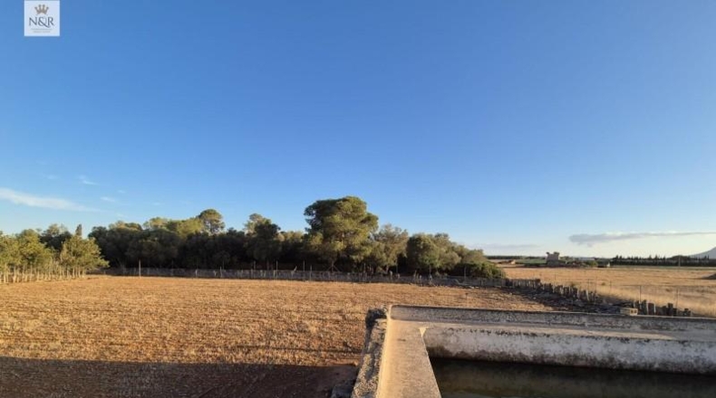 Islas Baleares - Muro - 18400m2