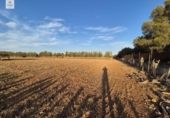 Xalet independent amb terreny en venda a la España, Muro, ref.: TR167602 foto