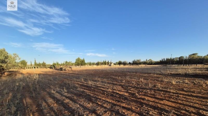 Islas Baleares - Muro - 18400m2