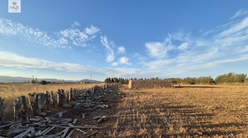 Islas Baleares - Muro - 18400m2