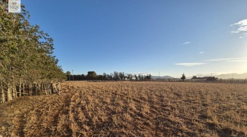 Islas Baleares - Muro - 18400m2
