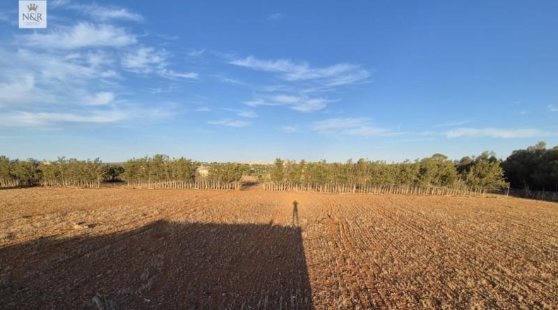 Islas Baleares - Muro - 18400m2