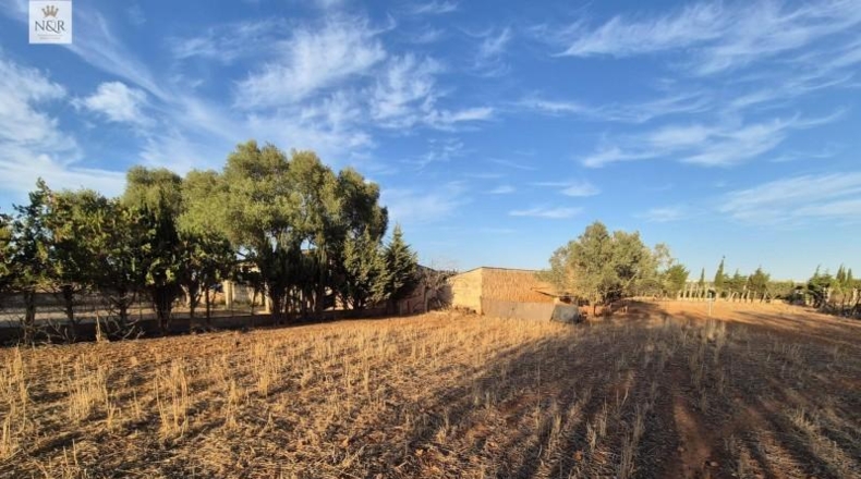 Islas Baleares - Muro - 18400m2