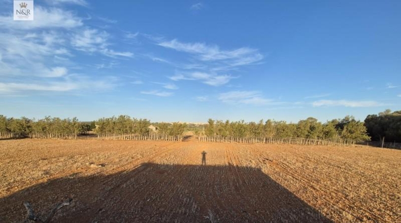 Islas Baleares - Muro - 18400m2