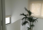 Chalet independiente con terreno en venta en la España, Orihuela, ref: TR156064 foto