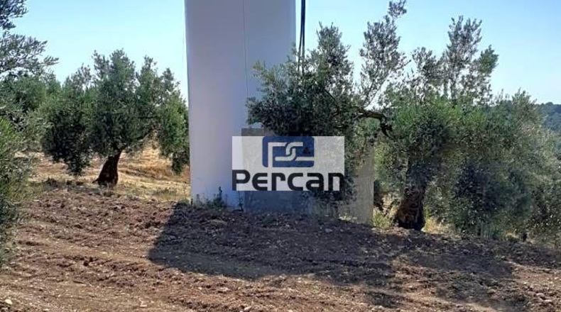 Granada - Cortes de Baza - 70681m2