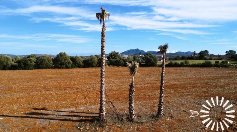 Islas Baleares - Felanitx - 18090m2