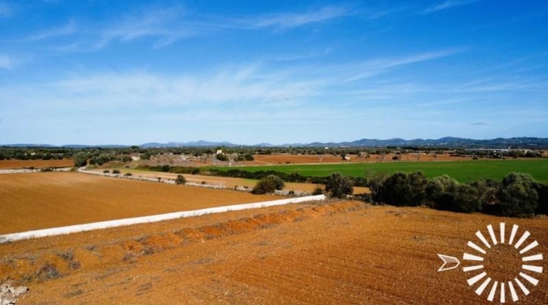 Islas Baleares - Felanitx - 18090m2