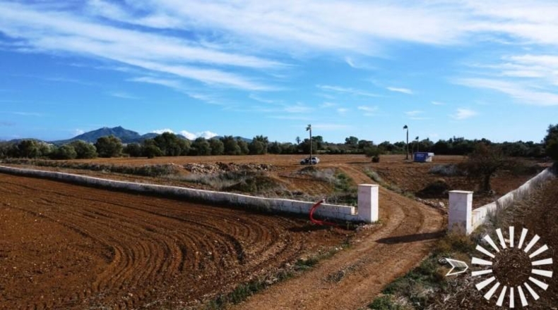 Islas Baleares - Felanitx - 18090m2