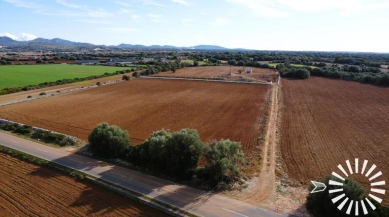 Islas Baleares - Felanitx - 18090m2