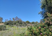Sòl urbà en venda a la España, Benalup-Casas Viejas, ref.: TR126115 foto