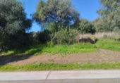 Sòl urbà en venda a la España, Benalup-Casas Viejas, ref.: TR126115 foto