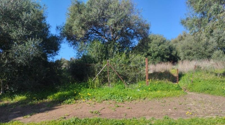 Cádiz - Benalup-Casas Viejas - 3182m2