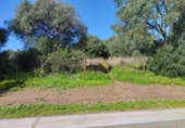Sòl urbà en venda a la España, Benalup-Casas Viejas, ref.: TR126115 foto
