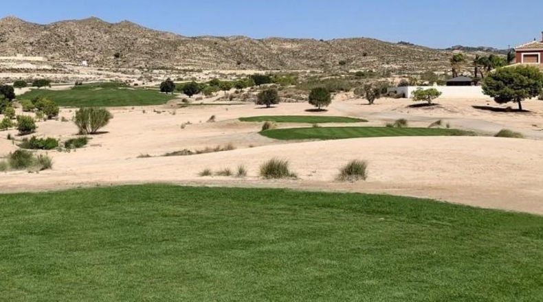 Murcia - San Pedro del Pinatar - 299m2
