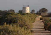 Xalet independent amb terreny en venda a la España, Múrcia, ref.: TR153687 foto