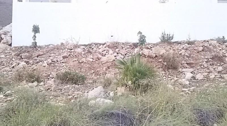 Málaga - Benalmádena - 703m2