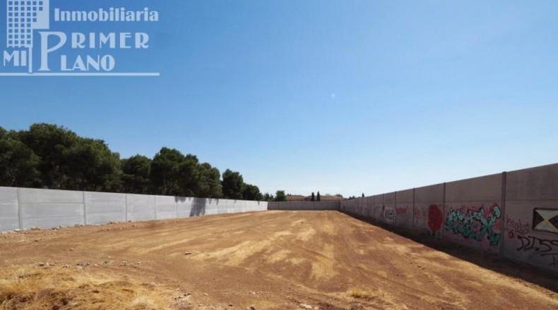 Ciudad Real - Tomelloso - 3155m2