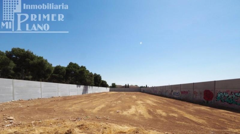 Ciudad Real - Tomelloso - 3155m2