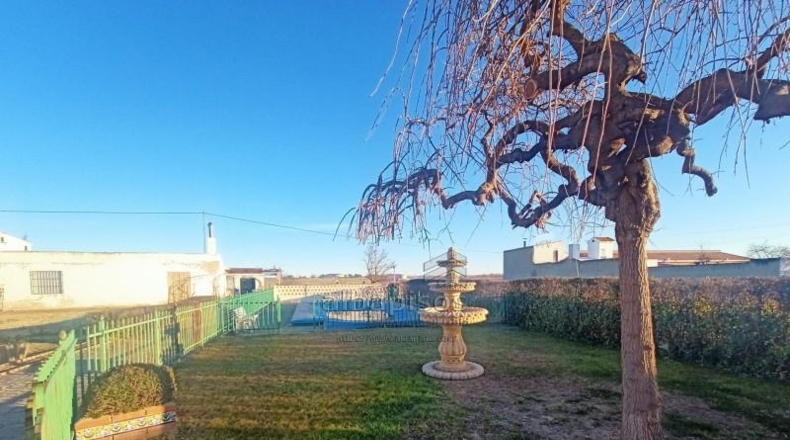 Albacete - Albacete - 2350m2