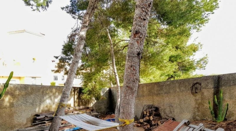 Alicante - San Miguel de Salinas - 800m2