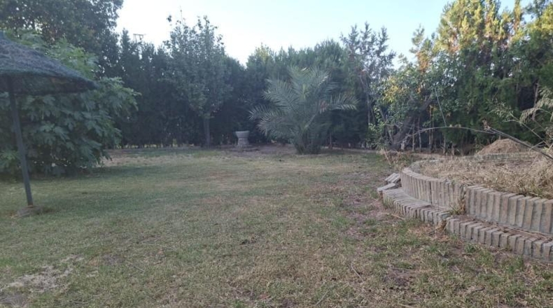 Севилья - Эспартинас - 800m2
