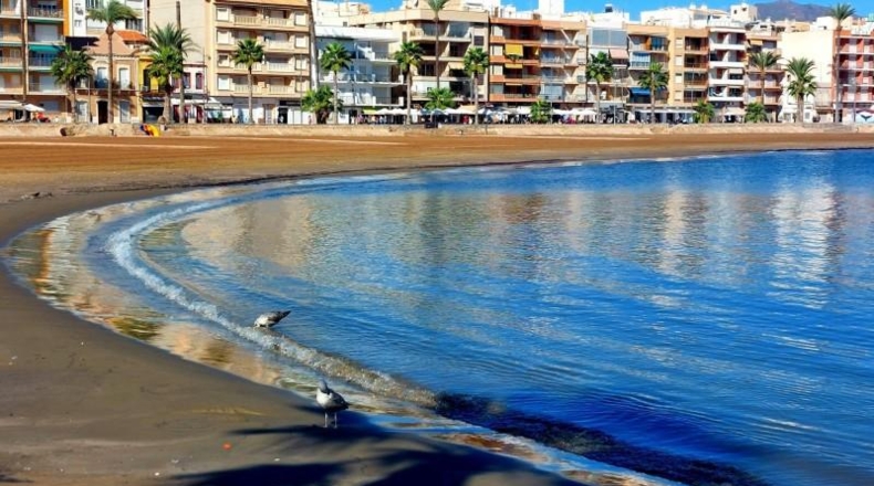Murcia - Fuente Álamo de Murcia - 300m2
