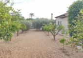 Xalet independent amb terreny en venda a la España, Elx, ref.: TR152905 foto