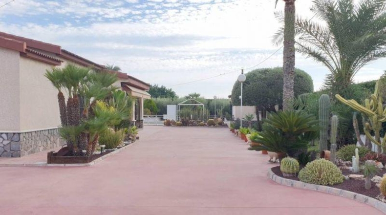 Alicante - Elche - 2500m2