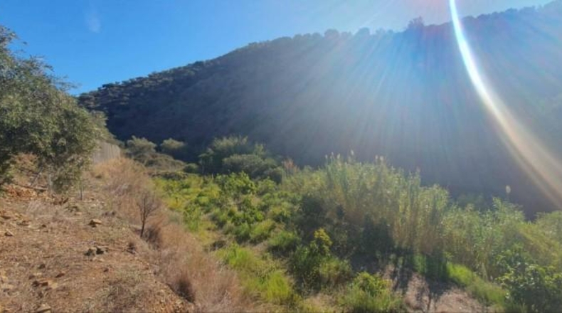 Málaga - Màlaga - 54888m2
