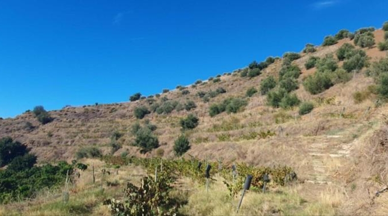 Málaga - Màlaga - 54888m2