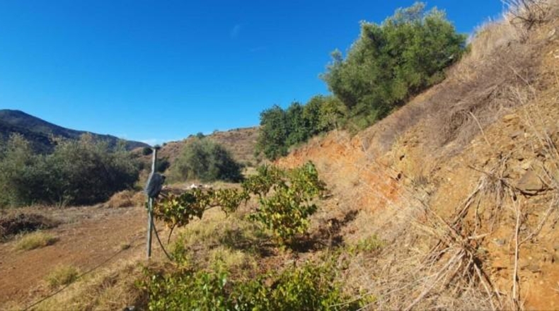 Málaga - Màlaga - 54888m2