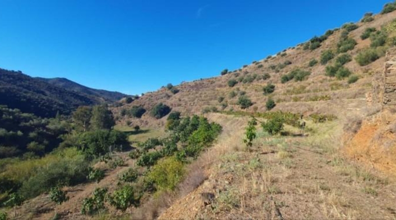 Málaga - Màlaga - 54888m2