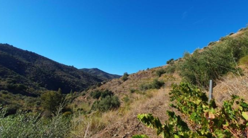 Málaga - Màlaga - 54888m2