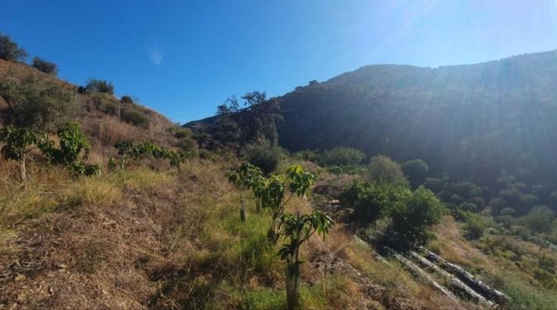 Málaga - Màlaga - 54888m2