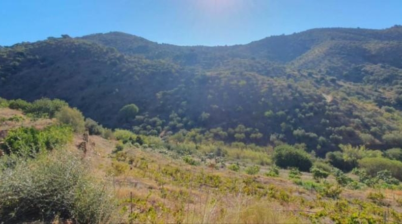 Málaga - Màlaga - 54888m2