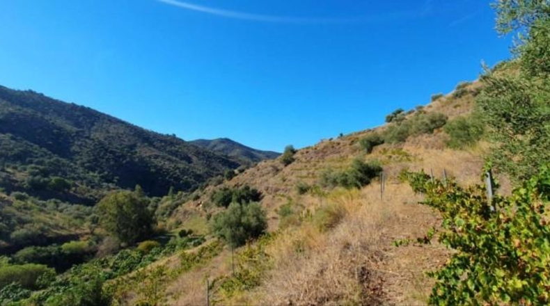 Málaga - Màlaga - 54888m2