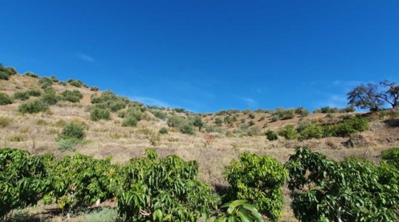 Málaga - Màlaga - 54888m2