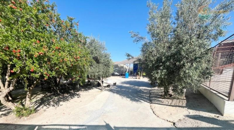 Murcia - Lorca - 8517m2