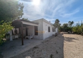 Casa de camp amb terreny en venda a la España, Elx, ref.: TR173729 foto