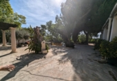Casa de camp amb terreny en venda a la España, Elx, ref.: TR173729 foto