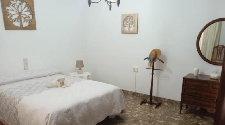 Castellón - Benicarló - 280m2