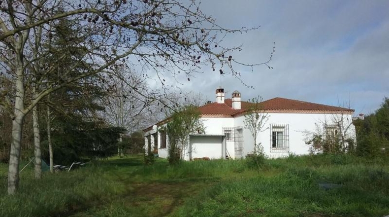 Badajoz - Badajoz - 18000m2